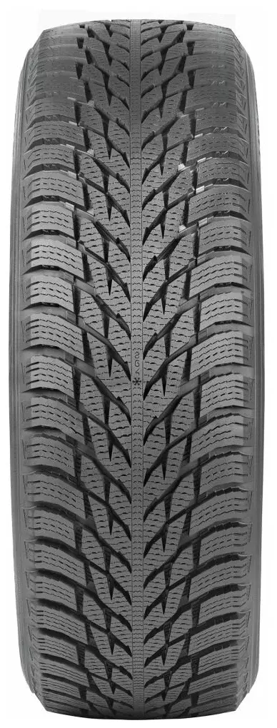Шина Nokian Tyres Hakkapeliitta R3 96R XL R16 205/60 зимняя